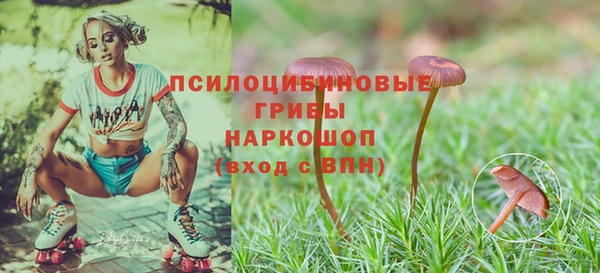 мескалин Баксан