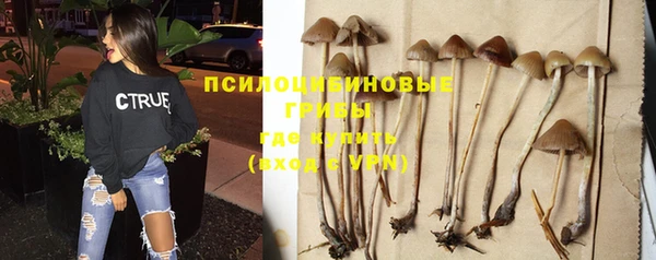 дурь Беломорск