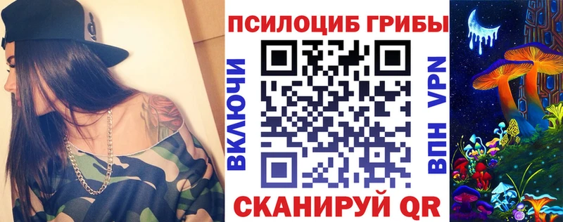 Купить  Темников  Галлюциногенные грибы Psilocybine cubensis 